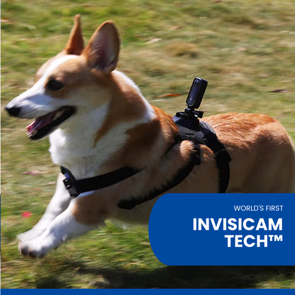 Collar Visio™ Pet Cam Mini