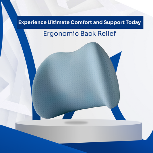 ErgoFlex™ Back Support