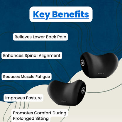 ErgoFlex™ Back Support