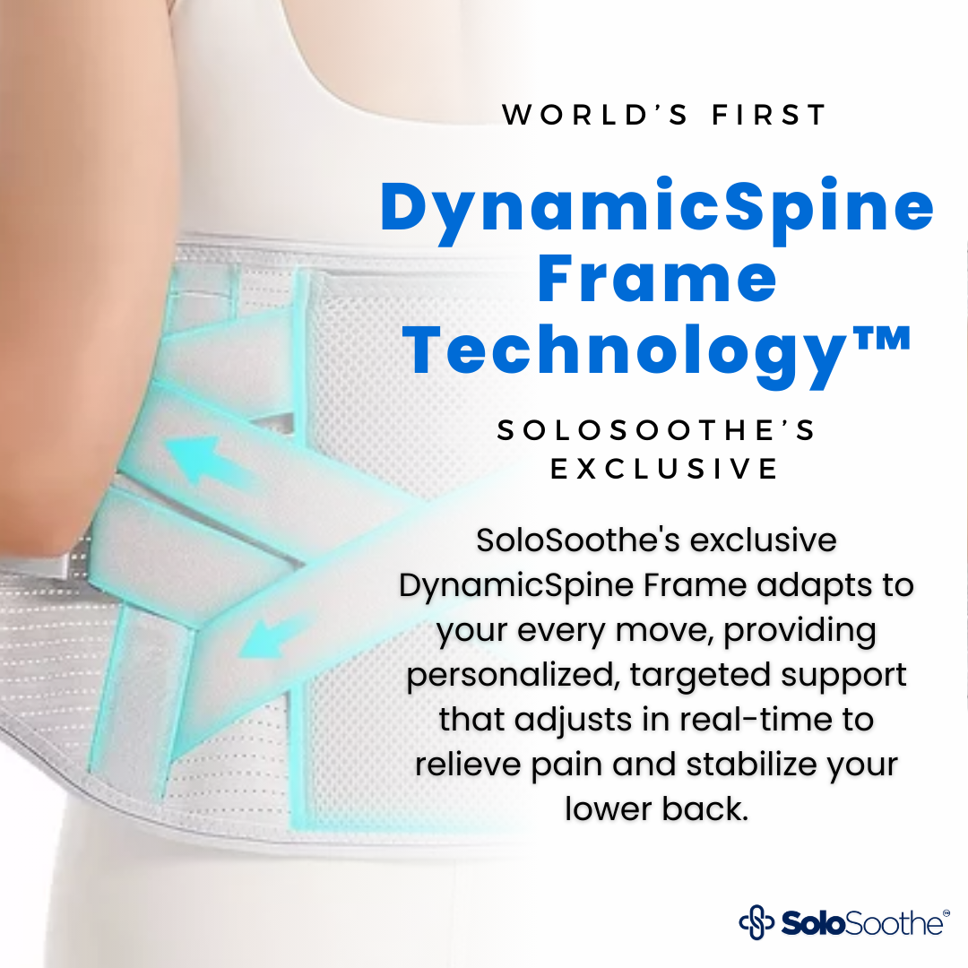 DynamicSpine Belt ™